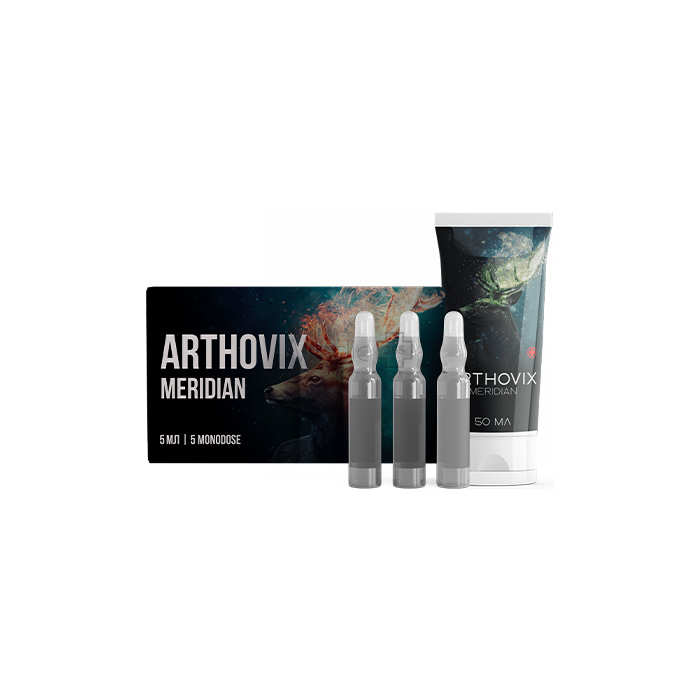 Артовикс Меридиан Комплекс (Arthovix Meridian)