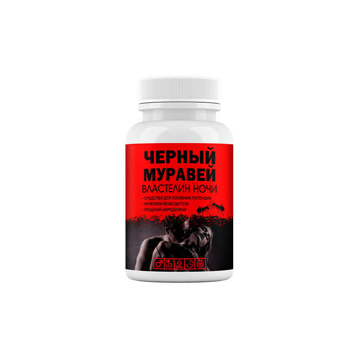 Черный муравей 